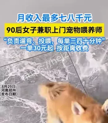 上门喂养师