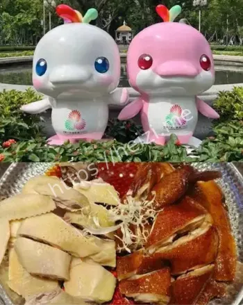 3岁网红瑞恩宝贝罕见病离世