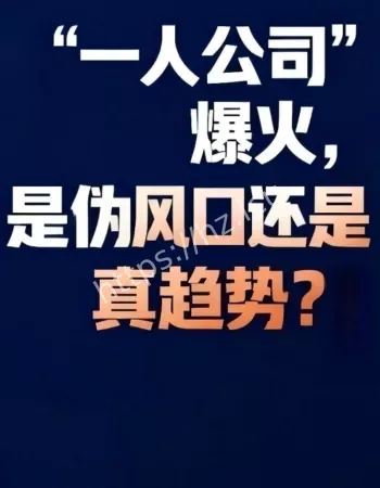 一人公司爆火